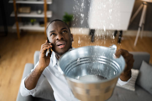 Best Mold removal after water damage  in Derma, MS