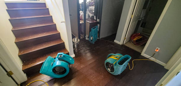 Best Flooded house restoration  in Derma, MS
