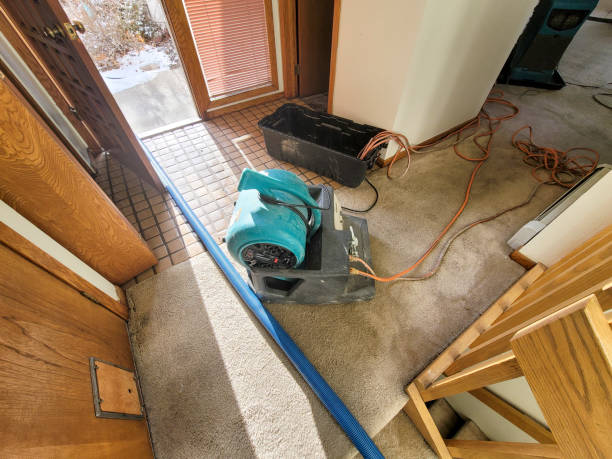 Best Fire Damage Restoration  in Derma, MS