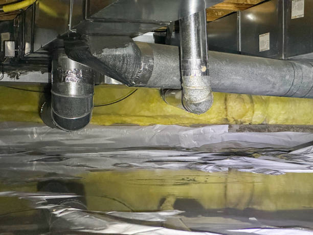Best Sewage cleanup and water damage restoration  in Derma, MS
