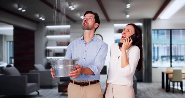 Best Ceiling water damage repair  in Derma, MS
